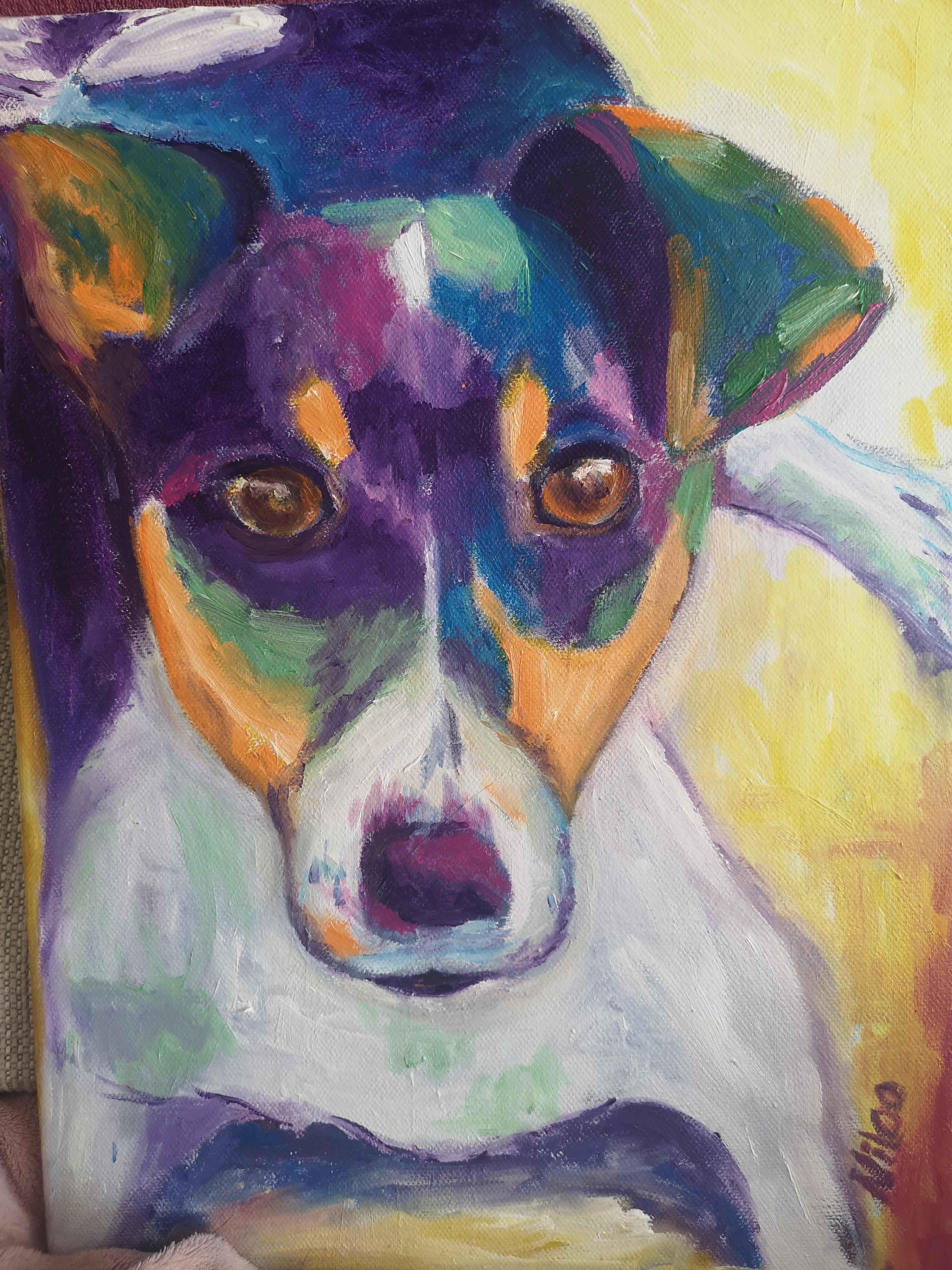 Mein Jacky… Deine Spuren sind überall, nur du fehlst – und dein Blick fehlt mir jeden Tag so sehr 💔. Ein Bild voller Erinnerung, Liebe und Verbundenheit. „Nicht zu verkaufen.“